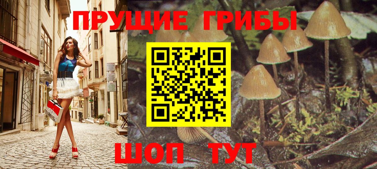 Псилоцибиновые грибы мухоморы  Вход с VPN  цены наркотик  Горячий Ключ 